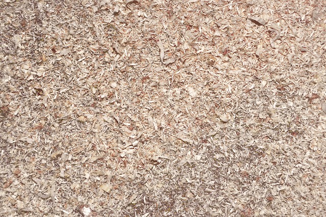 wood chip