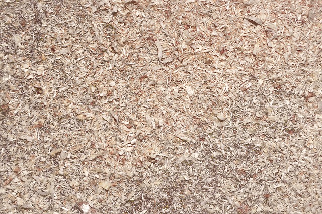 wood chip